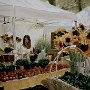 <I>Petit marché de Boston</I>, aquarelle, 21"x28"